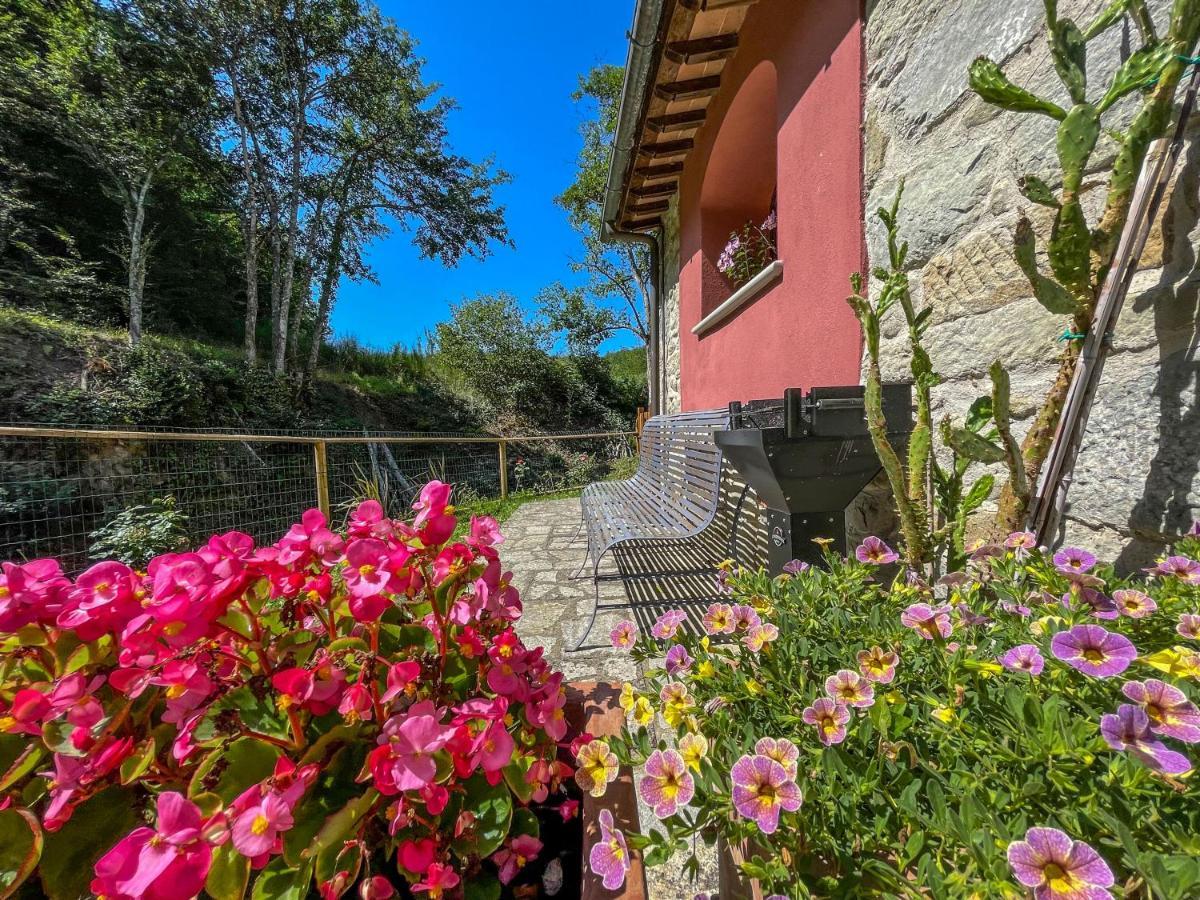 Mulino Di Rimaggio - Antico Mulino In Toscana Cavriglia Eksteriør billede